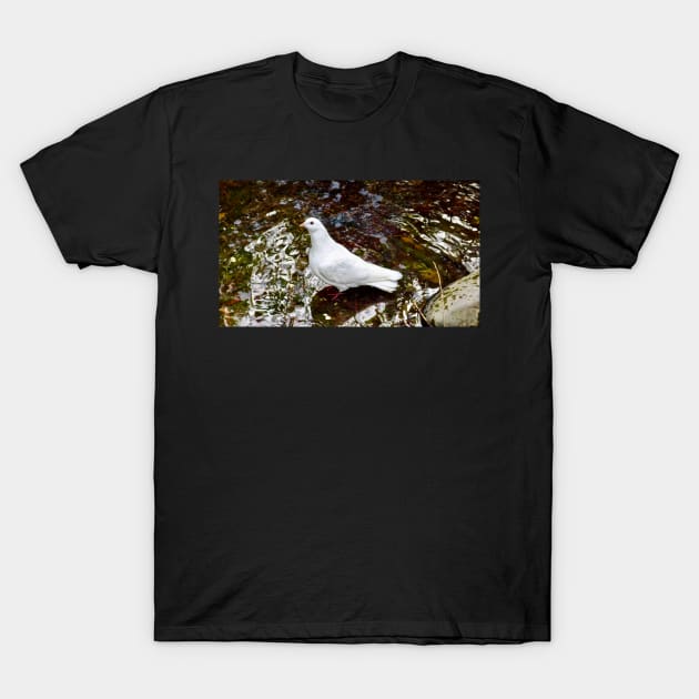 The White Dove T-Shirt by Mickangelhere1